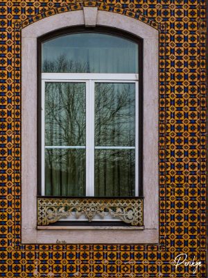 Foto artística en madera