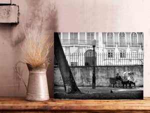 Jardim Botto Machado