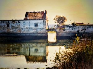 Artistic photography on wood